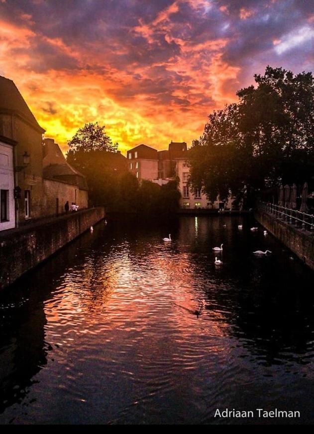 Canal Central Brugge Dış mekan fotoğraf